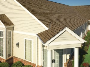 roof care tips