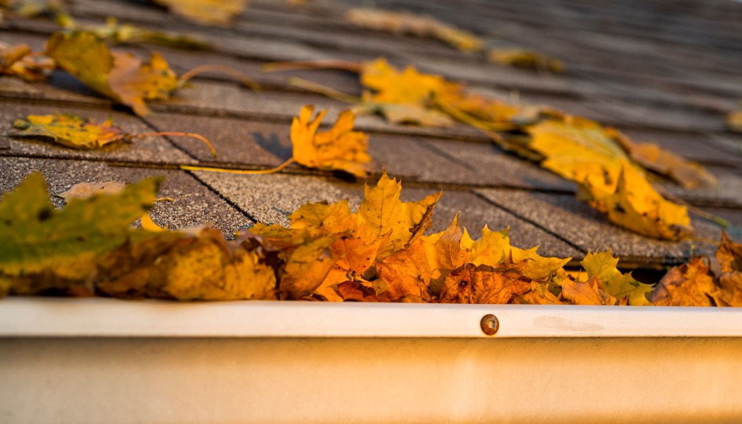 Install a GAF Lifetime Roofing and Get FREE Gutter Protection!